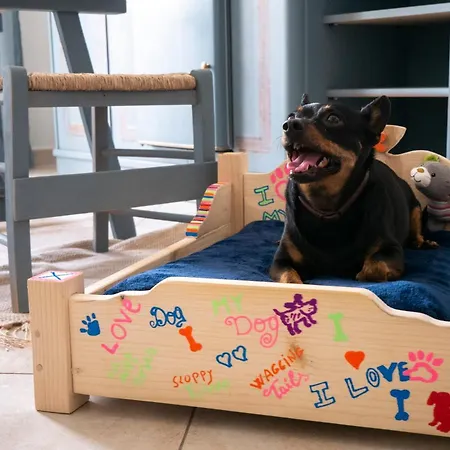 Domo Anna Maison d'hôtes