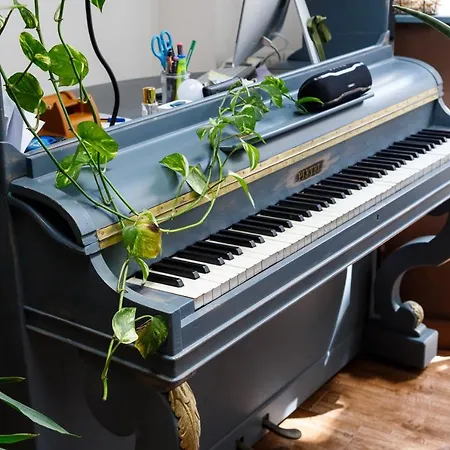 Guest house Domo Anna