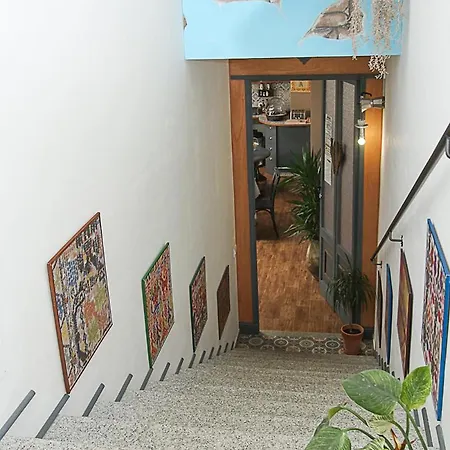 Domo Anna Guest house